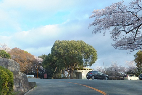 五月山ドライブウェイの写真