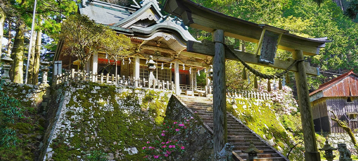 奈良の最強パワースポット5選｜長い歴史を持つ神社仏閣へ