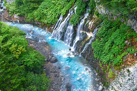 白ひげの滝の写真