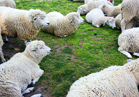 伊香保エリア｜癒し・芸術・絶景を巡る魅力満点のモデルコース
