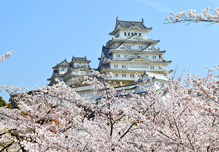 姫路エリア｜季節の絶景と文化に触れる1泊2日のモデルコース