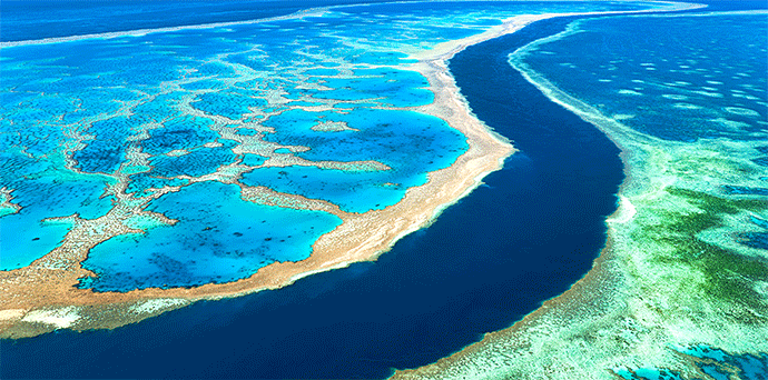 グレートバリアリーフの写真